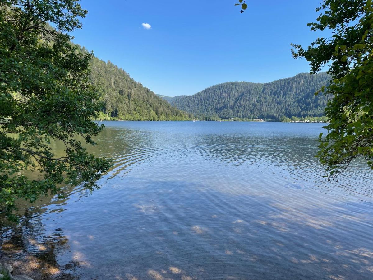 Le Chalet Blanc De Gerardmer Avec Spa Eksteriør billede